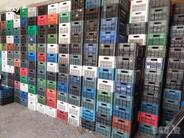 Каси, каса пластмасова , щайга, щайги, снимка 6 - Друго търговско оборудване - 51228411
