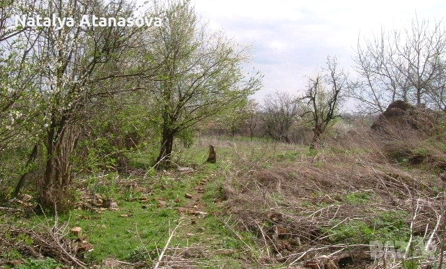 Къща за продажба в Рогозина, област Добрич