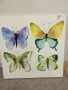 Картина с пеперуди 60x60 см върху дървена рамка, снимка 1