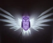 3D магическа стенна нощна лампа бухал с LED проекция,многоцветна, снимка 11