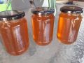 Пчелен мед реколта 24г (буркан), снимка 1 - Пчелни продукти - 45993003