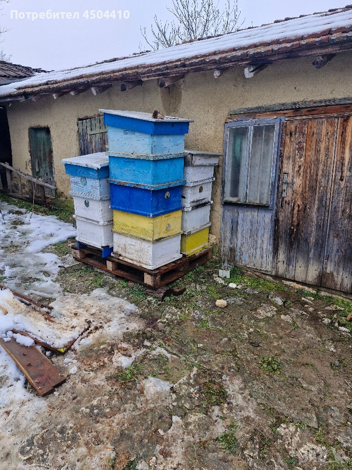 Кошери , корпуси ЛР 10 рамкови., снимка 1