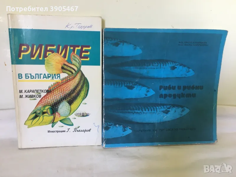 Рибите в България, снимка 1