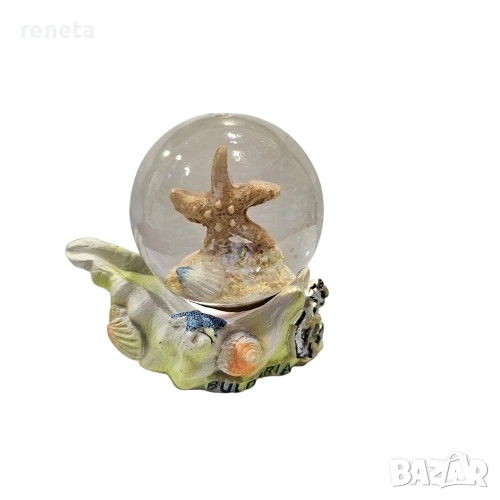 Преспаипе Раковина, Морска звезда, Керамика/стъкло, 6х6 см, снимка 1