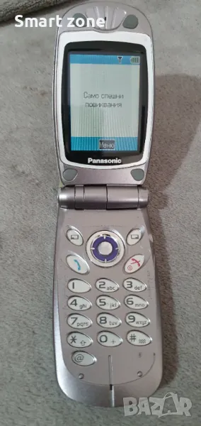 Panasonic EB-GD87, снимка 1