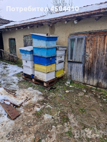 Кошери , корпуси ЛР 10 рамкови.