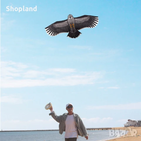 Хвърчило във формата на орел, снимка 2 - Влакчета, самолети, хеликоптери - 50480161
