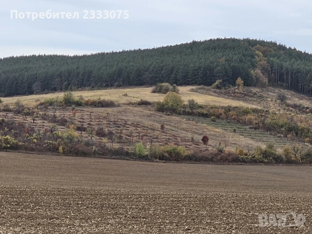 Продавам 11,299 дка земя в землището на с. Имренчево, обл. Шумен