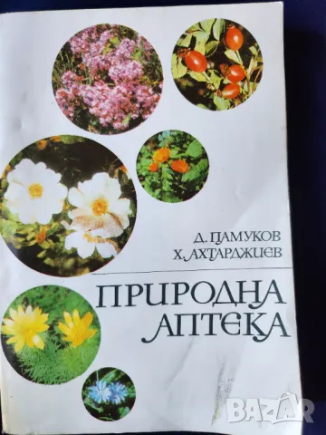 Природна аптека - книга с много инфо за лечебните растения в България, ползването, събирането-цветна, снимка 1 - Специализирана литература - 47556396