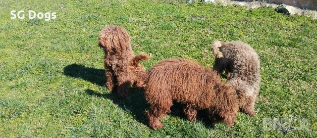 продавам лагото, снимка 9 - Други - 53779021