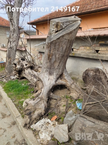 Дървен материал на трупи , снимка 4 - Други - 53972698