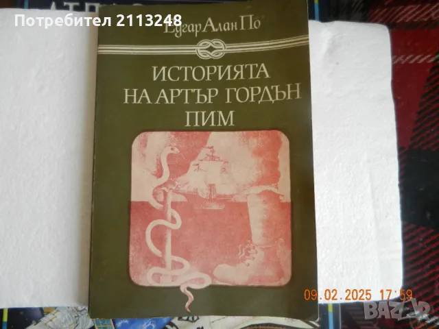 Едгар Алан По - Историята на Артър Гордън Пим, снимка 1 - Детски книжки - 49088997