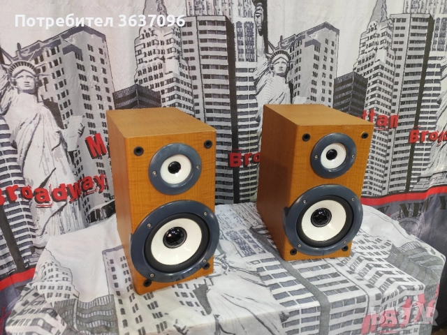 Тонколони 2 x 25W, снимка 3 - Тонколони - 51639510