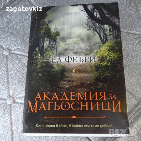 Академия за магьосници Ел Феъри , снимка 1 - Художествена литература - 46526758