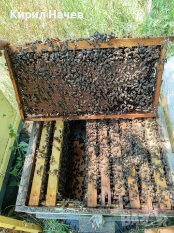 Пчелни рамки с пило