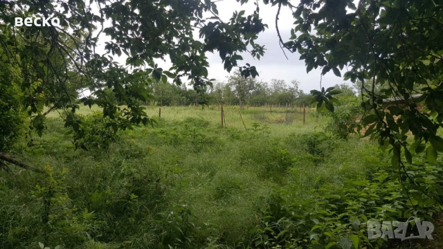 Продавам къща в село червенци 65км от варна, снимка 16 - Къщи - 53589553