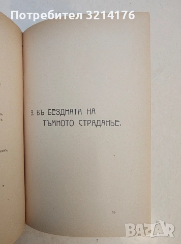 Литературни сборници; Южни цветове; Сняг. Песни на песните. Книга 1-2 – Т. В. Траяновъ , снимка 9 - Специализирана литература - 53621396