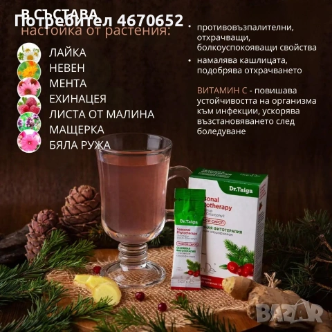 Сироп „Сезонна фитотерапия“ с иглолистен хлорофил, 10 стика по 10 гр., снимка 3 - Други - 54054010