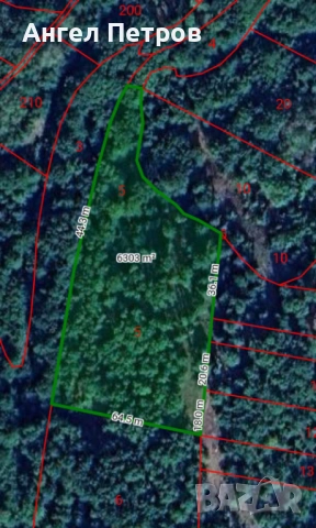 Гора село Долна Бела Речка, общ. Вършец, снимка 6 - Земеделска земя - 54078046