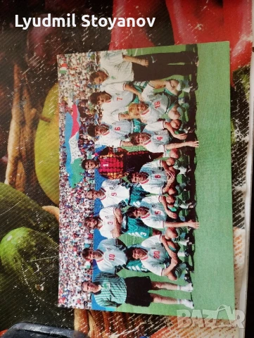 картички и календарчета, снимка 4 - Филателия - 51393991