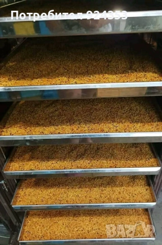 Пчелен прашец, снимка 2 - Пчелни продукти - 54086475