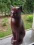 Керамична статуетка-Котка, снимка 1 - Декорация за дома - 45807301