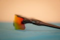 Спортни очила Oakley Radar Polarized Sunglasses, снимка 4