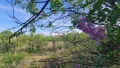 10km from Black Sea Beach, Varna – 600 sq.m. Fertile Plot w/ Sea View & House, Ideal for Rebuilding, снимка 6