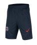 Мъжки шорти Nike x PSG, Размер S, снимка 1 - Къси панталони - 45967357