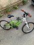 Detsko kolelo , снимка 4