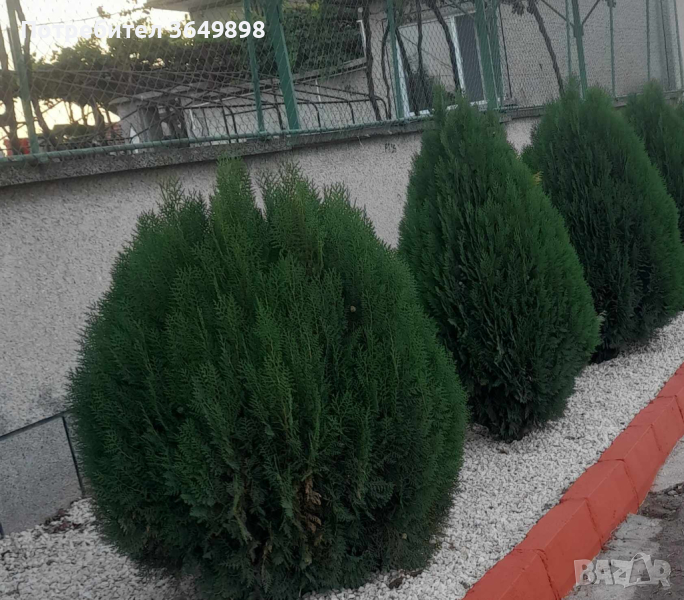 Снежно бял чакъл ,камък за украса и декорация на градинки ,дворни площи, снимка 1