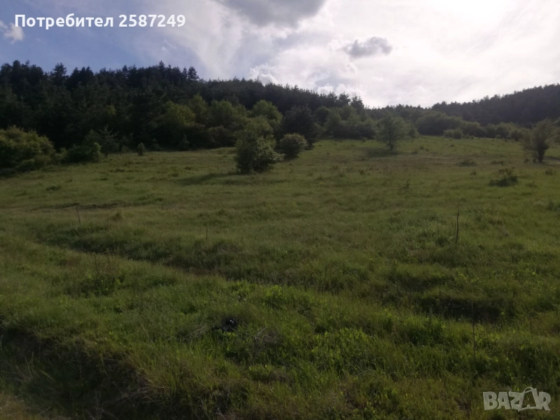 Изкупуваме земя,пасища ,ливади и идеални части , снимка 1