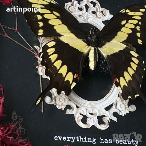 Тропическа Пеперуда в Рамка със Скандинавски Мъх 🦋, снимка 2 - Изкуствени цветя - 45682398