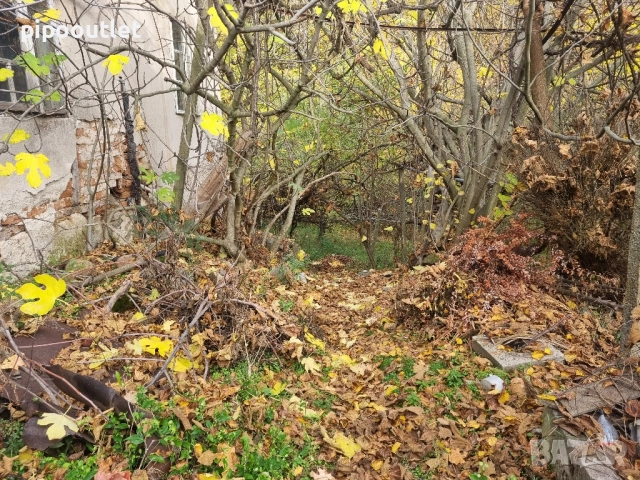 Продава се стара къща с голям двор в село Горна Брезница община Кресна , снимка 3 - Къщи - 52411372