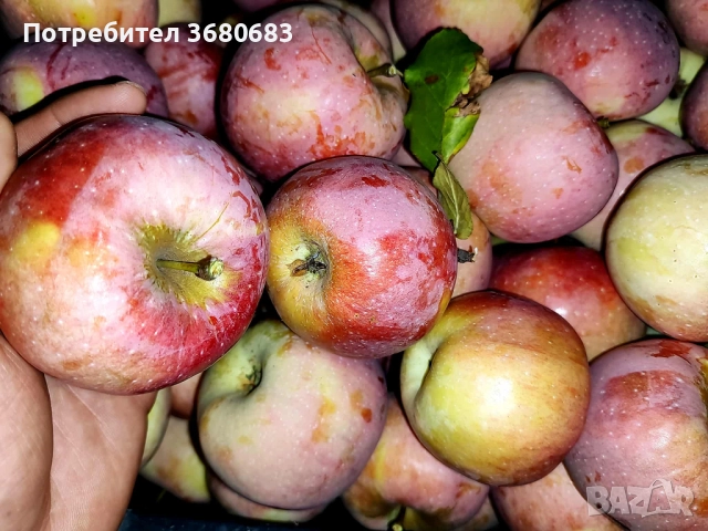 Ябълки, снимка 3 - Домашни продукти - 51703422