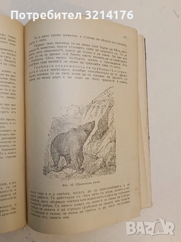 Животнитѣ от биологично гледище - Борис Митов (1935, Луксозна изработка, Отлично състояние), снимка 4 - Специализирана литература - 52773226