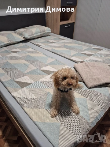 Бунгало АКВАМИРА къмпинг Созопол Еко , снимка 5 - Квартири, нощувки - 54035237