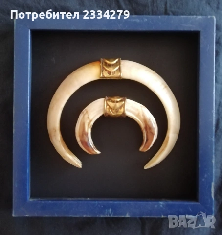 Рога от саръндаци и зъби от диво прасе, 70-80те години, снимка 13 - Колекции - 52583206