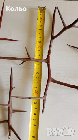 Бодли от дърво за декорация, снимка 3 - Декорация за дома - 53702904