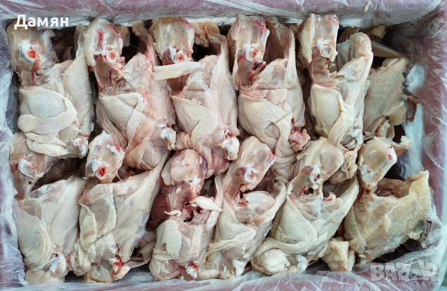 Месо за Домашни любимчи, снимка 7 - За кучета - 53465059