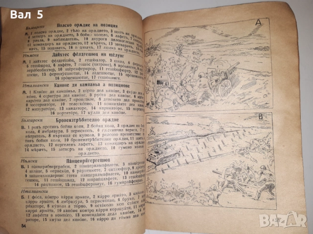 Рядък илюстрован разговорник , речник Царство Б- я
