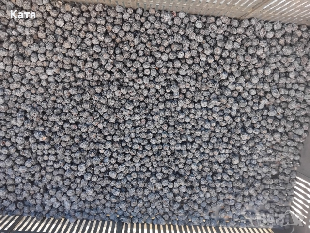 Арония СУХА