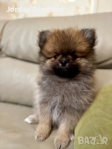 Мъжки Полерани