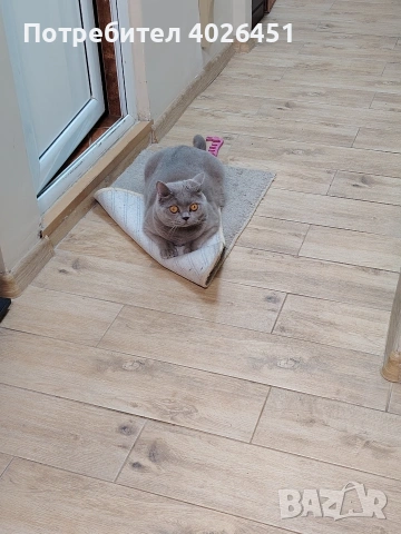 Зимно оригинално яке на Nike, размер 147-158 , снимка 3 - Детски якета и елеци - 53488933