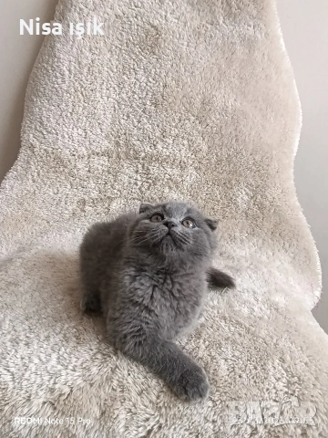 не е красив той е уникален момче в Хасково