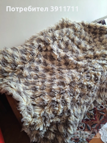 продавам китеници