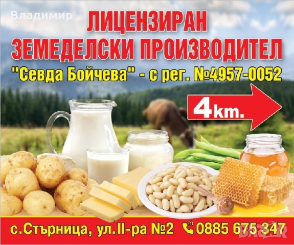 Картофи Агрия, снимка 8 - Домашни продукти - 47100075