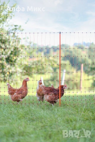  Мрежа за кокошки, 50метра дължина, 106 см височина, Арт.№: 292271, снимка 4 - За селскостопански - 51352225