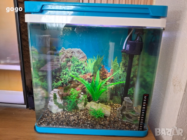 Три  Аквариума , снимка 5 - Аквариуми - 50487180