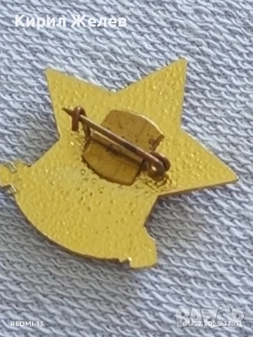 Лот значки 6 броя стари редки ЛЕВ ТОЛСТОЙ за КОЛЕКЦИЯ ДЕКОРАЦИЯ 25318, снимка 4 - Колекции - 50864077